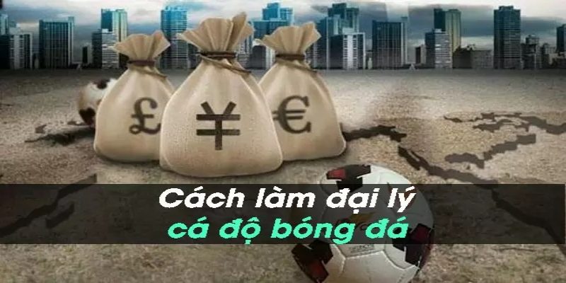  Lợi ích khi trở thành đại lý